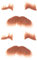 SOIMISS 2St falscher Bart Neuheit haariger Bart Halloween-Partyzubehör Halloweenkostüm Cosplay-Bart Requisiten für Gesichtsbehaarung Perücke falscher Schnurrbart Halloween-Requisiten Brown