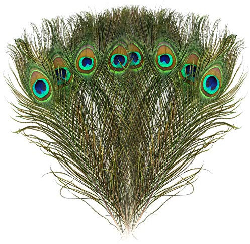 Mwoot 15 stücke Schöne Natürliche Pfauenfedern, Pfau Schwanzfedern Augen Federn Dekorationen für Handwerk Party 28-32 cm