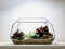 urbanjngl.com - Geometrisches Terrarium - Nexus - Vivarium - ↑ 41,5 x 21 x 23,5 cm (LxBxH) - Glas