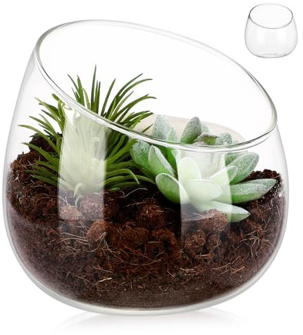UKCOCO Slanted Mouth Glass Planter Vase for Indoor Plants Unique Decorative Bowl for Succulents Pot Centerpieces Moss and Plants