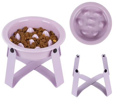Erhöhter Futternapf für langsames Fressen, Bonbons, bunt, erhöhter Hundenapf, Anti-Chole, Hundenapf mit rutschfestem Ständer für mittelgroße und kleine Hunde, Lila