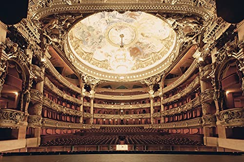 A.S. Création Fototapete Paris Braun | Gold Opera National 4.00 m x 2.67 m Braun Gold Rot