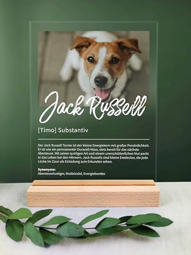 Jack Russell Geschenk personalisiert - Acryl Geschenk - Definition: Jack Russell - Jack Russell Geschenke, Jack Russell Deko, Jack Russell Geschenk, Geschenk für Jack Russell Halter