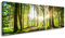 Visario 120 x 40 cm Bild grüner Wald 5730
