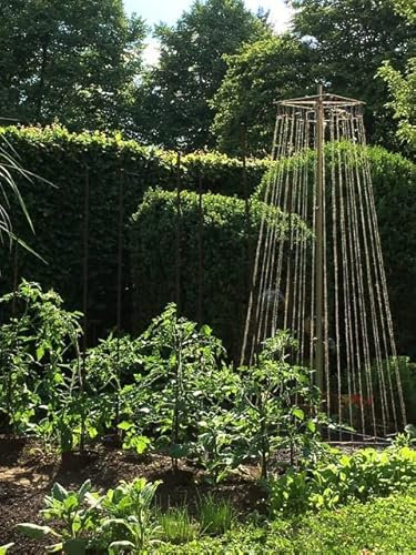 Teleskop Stangenbohnegestell Rankhilfe für Bohnen Rankgitter Ranknetz bekannt aus dem MDR Fernsehen Einfach Genial