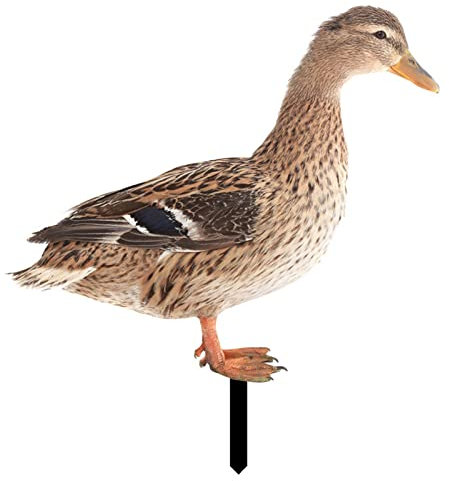 für Ente Gartenstecker Gartendeko Huhn Gartenfiguren Gartenstatue Dekor Kunst Gartendekoration Gartenstecker für Dekoration -B