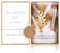Hestya Hochzeit Geldgeschenk Verpackung Geschenkbox Hochzeitskarte Trockenblumen Hanfseil Kunststoff Reagenzglas Band Kraftpapier Anhänger Geld Hochzeitsgeschenke für Brautpaar(Schönste Weg)