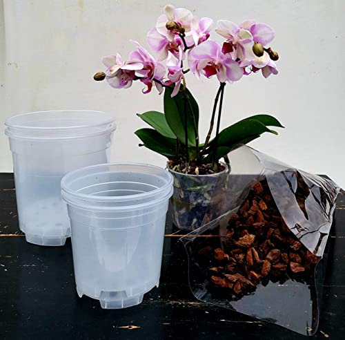 POWERS TO FLOWERS - 2 VASI 15CM DIAMETRO e 2 VASI 19CM, TRASPARENTI PER ORCHIDEE PHALAENOPSIS, PIU' TERRA PER IL RINVASO