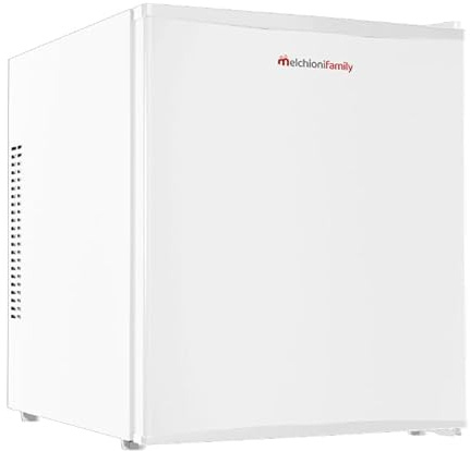 Melchioni Family | Minikühlschrank, Gesamtkapazität 47 Liter, thermoelektrischer Minibar mit LED-Licht, Energieeffizienzklasse E, Modell Polar 47, Weiß