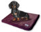 Giesty Hundedecke, Haustier Decken kuschelweich, Decken für Hunde Wasserdicht, maschinenwaschbar, beidseitiger Sofabezug-Schutz (Lila, M (60x74cm))