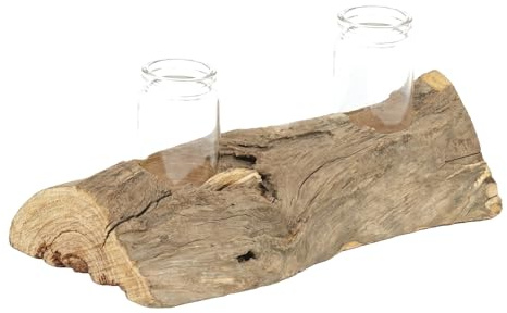 CREEDWOOD REAGENZGLAS VASE Yuma II | Treibholz, 19x12cm (BxT), 2 Gläser | Wurzel Blumen Vase, Holz Tischvase, Treibholz Glas Vase, Pflanzgefäß, Natur Tisch Vase
