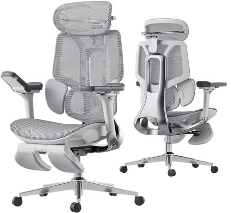 Hbada E3 Pro Ergonomic Office Chair with Dynamic Lumbar Support, 4D Adjustable Headrest for Home Office Chair, 6D Adjustable Armrests Desk Chair, Swivel Big and Tall Computer Chair, Gray