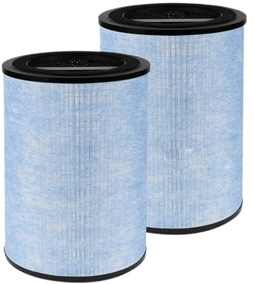 Replacement H13 True HEPA Filter and Carbon Filter Accessories,Compatible for Instant AP300 Air Purifier Filter Parts(2PCS)
