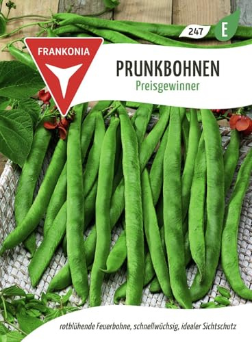 FRANKONIA® Prunk- und Feuerbohne, Preisgewinner - Bohnen-Samen Gemüse-Samen Saatgut Samen (Phaseolus cossineus)