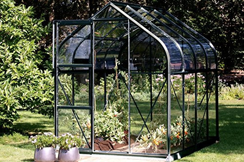 Vitavia Orion Gewächshaus, ESG 3mm, Aluminiumgestell, Dachfenster, versch. Ausführungen schwarz Orion 5000