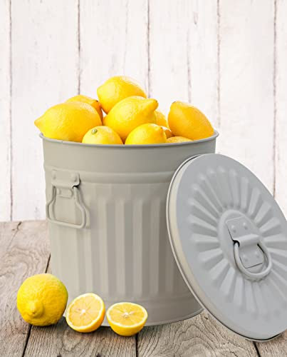 Jinfa | Cubo de Basura de Metal galvanizado con Asas y Tapa | Gris | Diámetro Ø 21,5 cm - Altura 21,5 cm | Capacidad: 7 litros