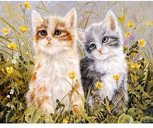 Ölgemälde nach Anzahl Katze Tierfärbung DIY Kits Zeichnung auf Leinwand des gerahmten Bildes nach Zahl Ausgangserziehung Wandkunst