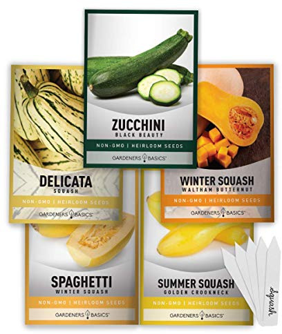 Gardeners Basics, Squash Seeds for Planting 5 Individual Packets - Zucchini, Delicata, Butternut, Spaghetti and Golden Crookneck for Your Non GMO Heirloom Vegetable Garden