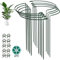 Plant Supports Metal for Outdoor Plants - 8 Pack 25×40cm Half-Round Plant Support Stakes with 20 Plant Clips for Protects Garden Plant Stems for Hydrangea Vegetables Rose