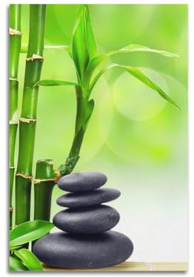 ECHUN Poster de contemplation zen Bambou et pierres zen Décoration murale sur toile 30 x 45 cm