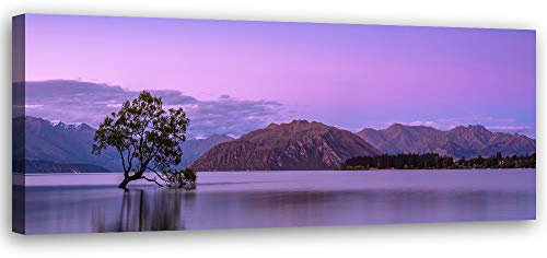 Feeby Wandbild See Druckbild Leinwandbild Landsdchaft Violett 120x40 cm