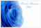 celloexpress Fondest Memories Dad (Blue Rose) Flower Message Cards - 60mm x 90mm - Bereavement Florist Card Sympathy Condolences Notes (Pack of 10)