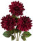 3 Stück Künstliche Dahlie Blumen Dunkelrot, 70cm Kunstblume Seidenblumen mit Langem Stiel für Blumenarrangements, Faux Herbst Blumen für DIY Hochzeit Party Deko Home Office Dekoration