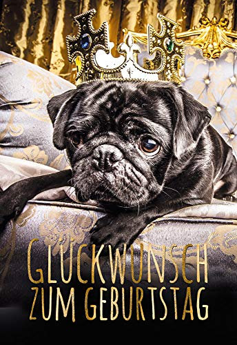 Glückwunschkarte zum Geburtstag | Lustige Geburtstagskarte mit Mops | Geburtskarten Set mit Umschlag | DIN B6 | 17,1 x 11,7cm | Klappkarte