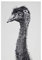 Maxwell & Williams Marini Ferlazzo Geschirrtuch mit Tiermotiv Echidna 100 % indische Baumwolle, weiß, 50 x 70 cm