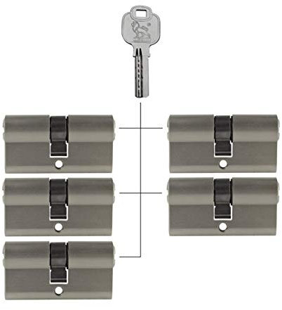 5x Profilzylinder 60 mm 30/30 gleichschließend inkl. 25 Schlüssel