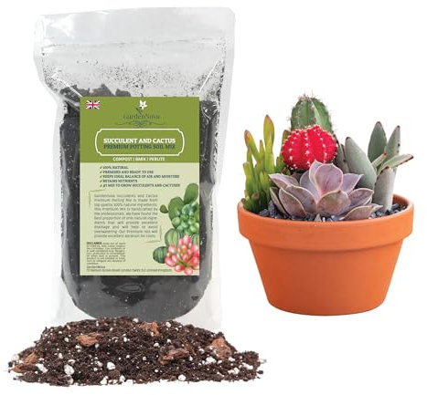 Professional Succulent Soil Premium All Purpose Blend | Pre-Mixed Ready to Use for Cactus and Succulents | Premium Compost, Perlite, Pine Bark - Made in UK - 4 LITERS