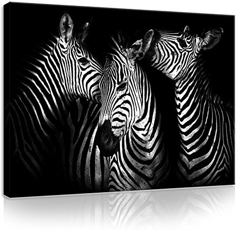 ForWall Leinwandbild Schwarz und weiß Tiere Zebra - 100x75cm Bild auf Leinwand Bilder Canvas Leinwandbilder Wandbild Wandbilder Schlafzimmer Wohnzimmer