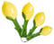 Lemon Ceramic Spoons Set: Lemon Shaped Measuring Spoons: 1 Tablespoon, 1 Teaspoon, 1/2 Teaspoon and 1/4 Teaspoon
