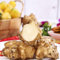 10 pcs topinambur saatknollen zum pflanzen Zwiebeln, topinambur - knollen, anpflanztöpfchen plant pots indoor topinambur kaufen - Helianthus tuberosus - zimmerpflanzen bonsai, deko
