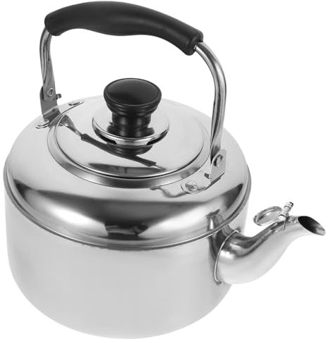 DOITOOL Stainless Steel Kettle Metal Teapot Kettles for Boiling Water Tea Pots for Stove Top Camping Stove Gas Water Kettle Whistling Mr Cast Iron Kettle for Wood Stove Small Travel Japan
