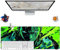 One Zoro Piece Pretty Tapis de Souris Anime Bureau Anti-Glissant Surface Texturée 800 x 300 x 3mm pour Ordinateur Gamer-Bureau-Maison et Portables
