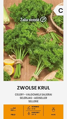 Zalia stotele | Sellerie - ZWOLSE KRUL samen | Gemüsesamen | Eine außergewöhnliche, frühe, dekorative Sorte von Blattsellerie | Pflanze samen | Sellerie samen | Gardensamen | 1 Pack