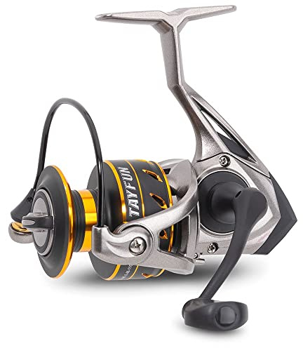 Tayfun XP 4000 New 2021 Stationärrolle - Spinnrolle von SängerTTS