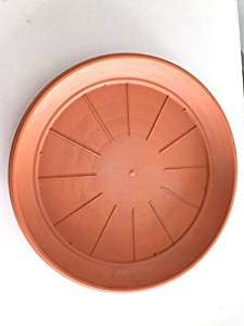 PEBSHOP Maceta o plato redondo festoneado terracota (plato Ø 43 x 6 cm x maceta Ø 50 cm)