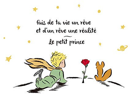 decalmile Wandsticker Prinz Wandtattoo Sprüche und Zitate Märchen Wandaufkleber Kinderzimmer Babyzimmer Schlafzimmer Wanddeko