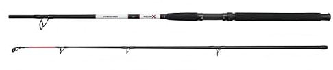 DAM Aqua-X Boot-Angelrute, Glasfaser-Blank, Eva-Griff, Salzwasserrute, 180cm, Wurfgewicht 100g-250g