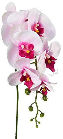 Gasper Kunstpflanze Phalenopsis in der Farbe : Weiß/Rosa, in der Höhe: 86 cm, 305303-10