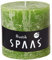 Spaas Rustic Unscented Pillar Candle Hours-Olive Green Rustikale Stumpenkerze 100/100 mm, ± 75 Stunden, ohne Duft-olivgrün, Paraffinwachs, D x H 100 mm, 678