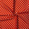 Fashion Track Popeline-Stoff, gepunktet, 100 % Baumwolle, 111 cm breit und 2,7 m lang, Popeline-Stoff – Basteln, Quilten, Material für DIY, Nähen, Heimdekoration, Kleider (rot auf weiß, 2,7 m)