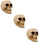 BESPORTBLE 3st Schädeltopf Skelett- Skelett Blumentopf Kleine Sukkulententöpfe Zuckerschüssel Kaktus-pflanzgefäße Schädel-Statue-skulptur Übertopf Mit -Pflanze Goth-vase Harz