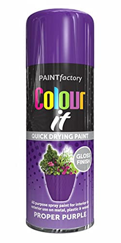 AlezyB - Proper Purple 400ml All Purpose Spray Paint | Use on Metal, Wood, Plastic and Multipurpose Aerosol Professional Quality Perfect Finish, for Interior Exterior and Excellent Coverage