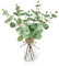 SHEPIN Kunstpflanze Eukalyptus Deko Künstlich mit Glasvase, Künstlicher Eukalyptus Pflanze mit Vase, Eucalyptus Zweige Beidseitige Blätter Dekopflanze Zimmerpflanzen für Tischdeko Wohnzimmer