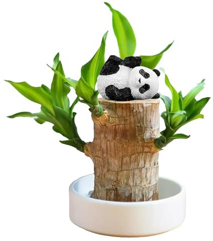 JSvsza Bois Chanceux Brésilien,Décoration en Bois Brésilien,Mini Bois Chanceux du Brésil,Mini Bois Porte-Bonheur du Brésil,Décoration D'Intérieur Bureau, D