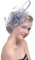 Fascinator Hut Damen Mädchen Mesh Blumen Stirnband Feder Haarspange Tea Party Kirche Cocktail Haar Clip Hut Hochzeit Braut Haarreif Vintage Haarschmuck Kopfschmuck Headwear Kostüm Zubehör