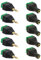 E.T 5X Klinken Stecker + 5X Buchsen 3,5mm Adapter > Terminalblock 3 Pin Schraub Klemme Set